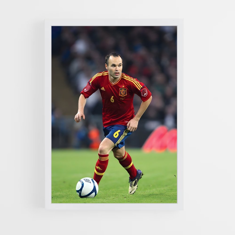 Poster Maestro de la Pelote (vue 3)